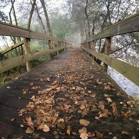 Eco Tree Pool