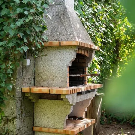 Eco Tree Pool *