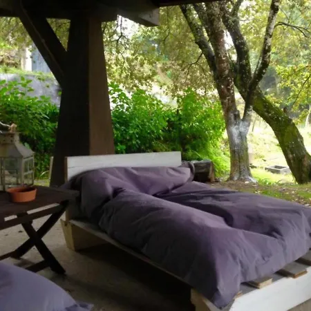 Eco Tree Pool