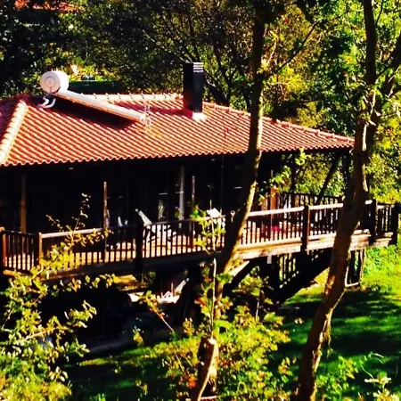 Eco Tree Pool Σπίτι διακοπών Arcos de Valdevez