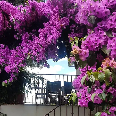 Σπίτι διακοπών Eco Tree Pool *